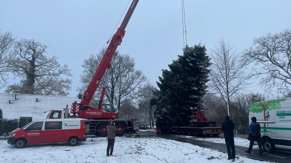 Vandaag hebben we de boom verwijderd om de kerstboom morgen om de Grote Markt te kunnen plaatsen